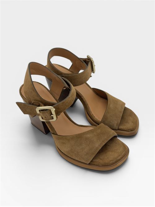 Sandali marrone chiaro con tacco e cinturino da donna  IL LACCIO | PERLA06VELOURWHISKY377